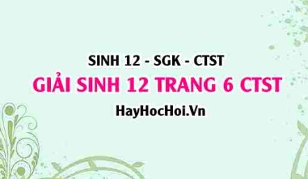 Giải Sinh 12 trang 6 Chân trời sáng tạo SGK